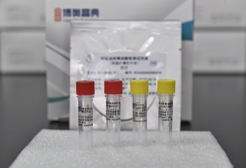 戰(zhàn) 疫 利器升級 1.5小時內一次性檢測6種呼吸道病毒