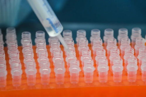 科研成果轉化,不能只摘桃不種桃